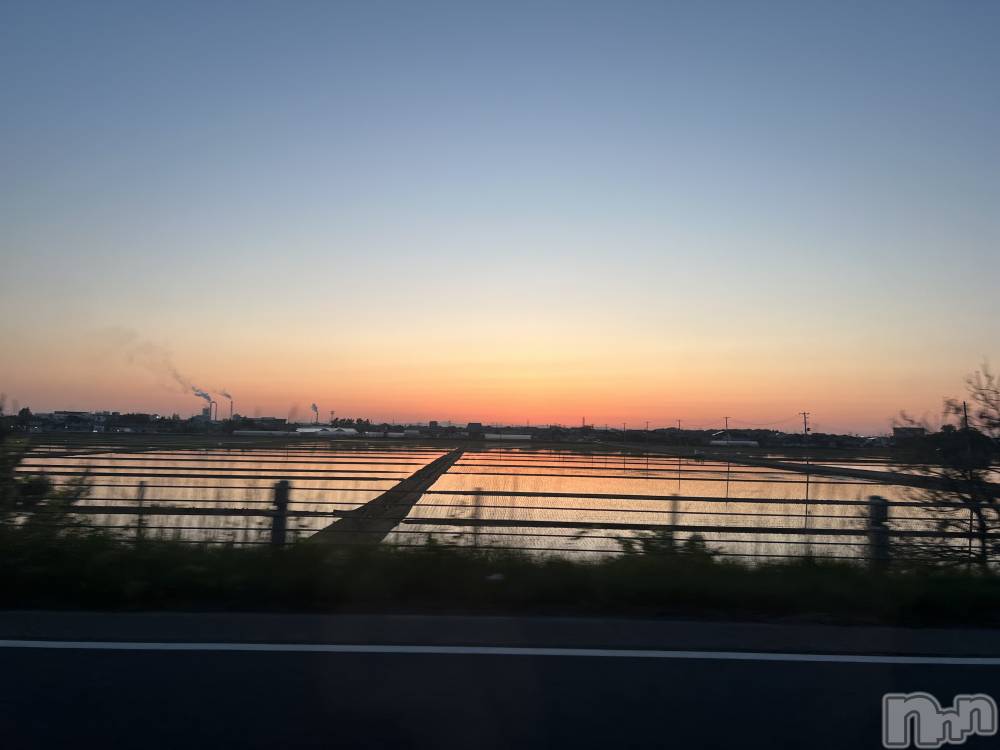 ʥå륺СʥåBar Peace(ʥåС ԡ) 516̥֥🌅🌅🌅
