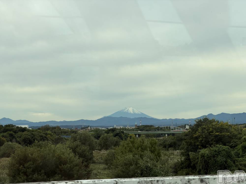 ʥå륺СʥåBar Peace(ʥåС ԡ) 1120̥֥🗻‼️