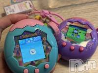 ʥå륺СʥåBar Peace(ʥåС ԡ) 1125̥֥🥚💕