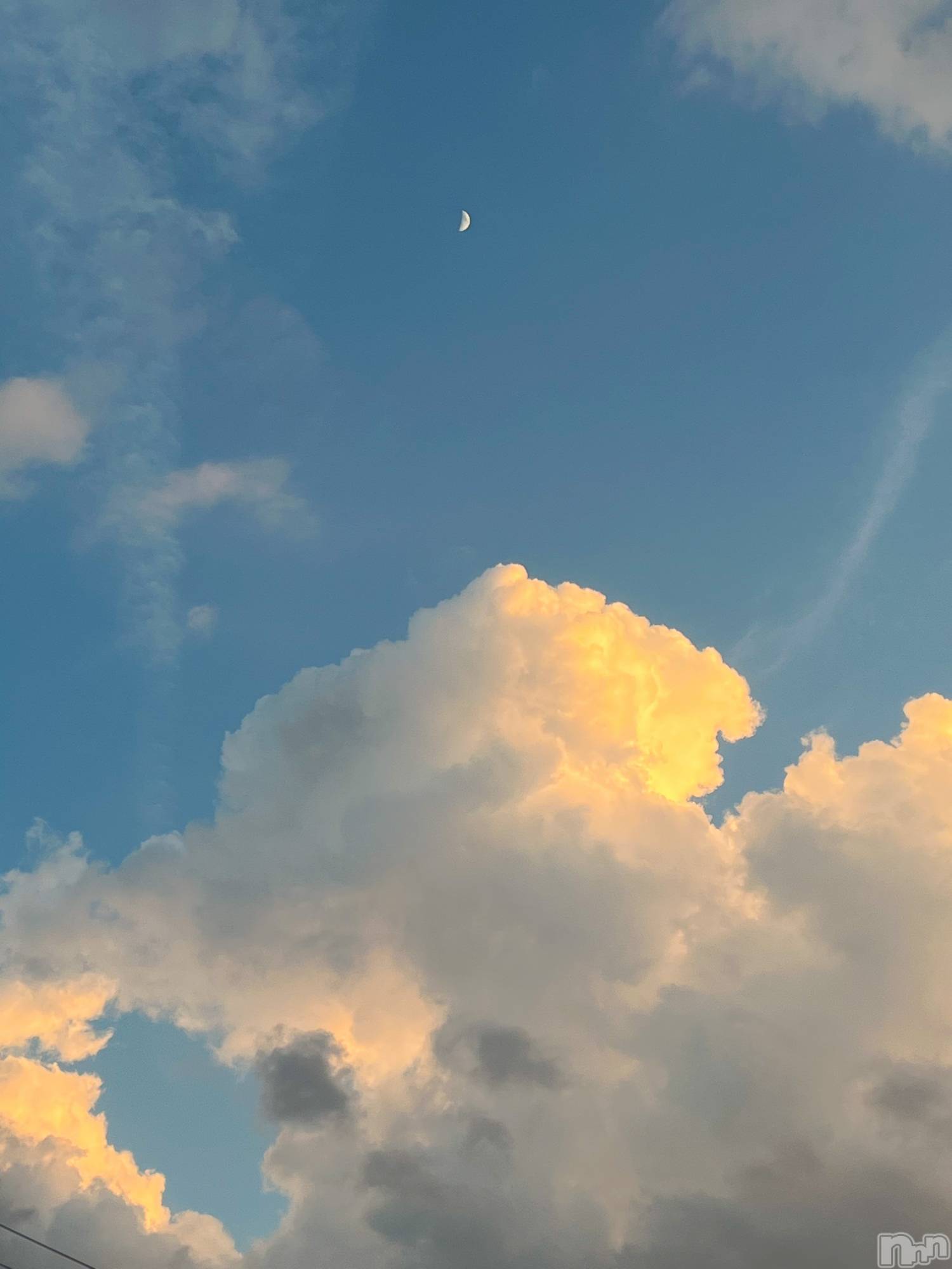 ʥå륺СʥåBar Peace(ʥåС ԡ) 2022ǯ713̥֥☀️.