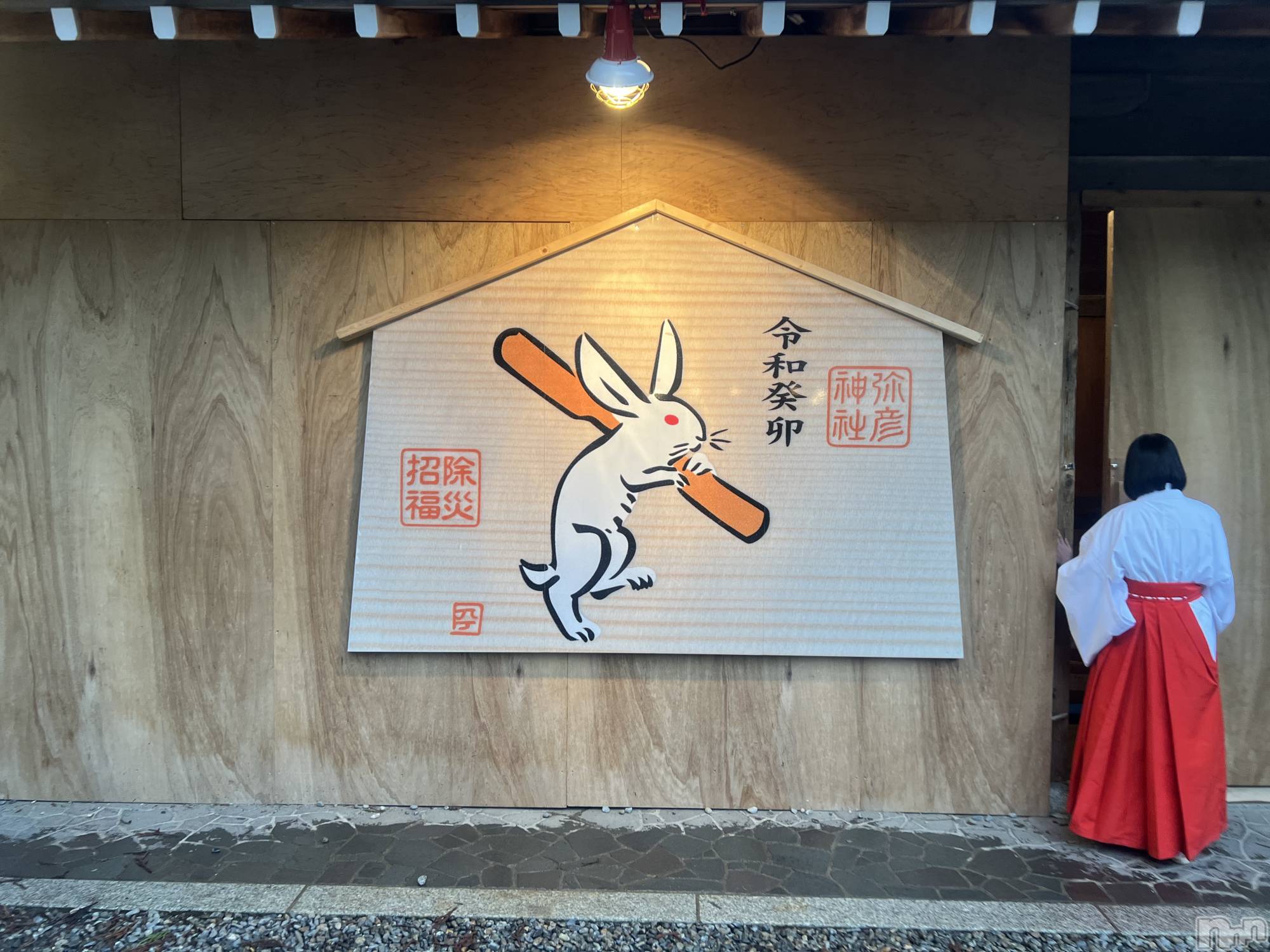 ʥå륺СʥåBar Peace(ʥåС ԡ) 2023ǯ15̥֥🐰🎍💛