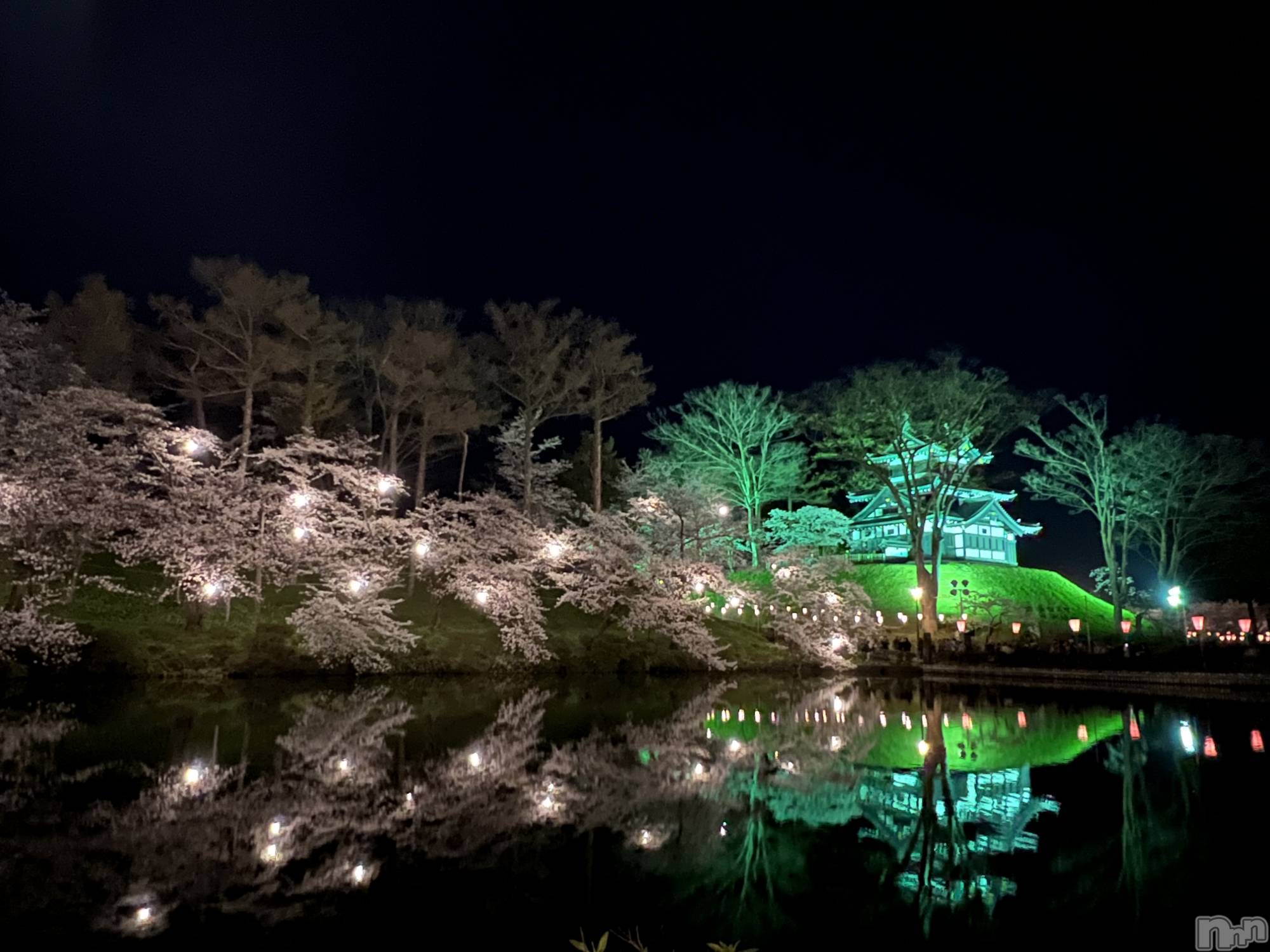 ʥå륺СʥåBar Peace(ʥåС ԡ) 2024ǯ415̥֥🏯🌸