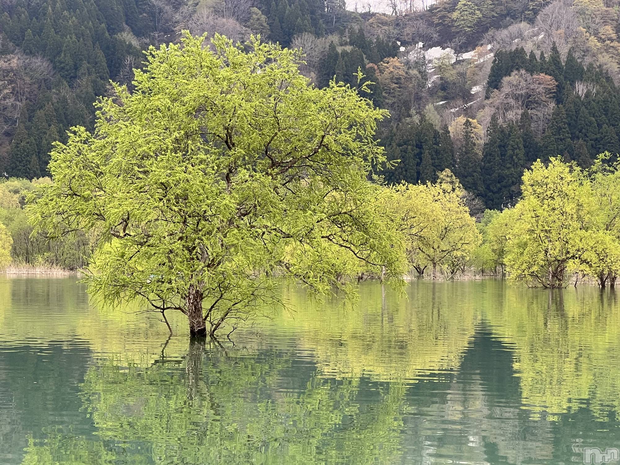 ʥå륺СʥåBar Peace(ʥåС ԡ) 2025ǯ514̥֥🌳