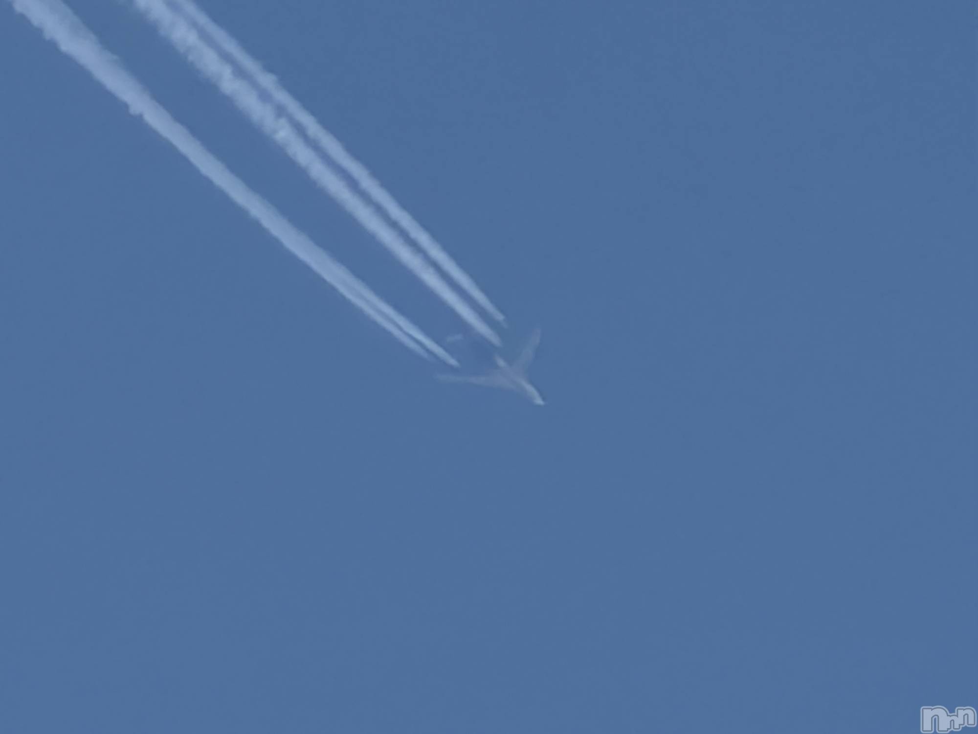 ����������ʥå��������륺�С����ʥå�Bar Peace(���ʥå��С� �ԡ���) ��2026ǯ4��17���̥�֥�����✈️︎︎��