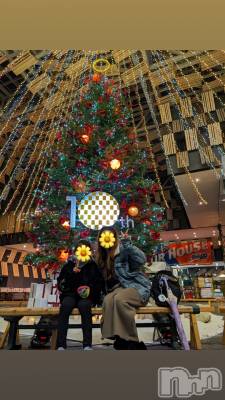 ʥå륺СʥåBar Peace(ʥåС ԡ) 1226̥֥֎׎~🎄✨