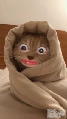 ʥå륺СʥåBar Peace(ʥåС ԡ) 44̥֥👀