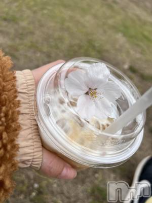 ʥå륺СʥåBar Peace(ʥåС ԡ) 417̥֥😫🌸