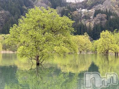 ʥå륺СʥåBar Peace(ʥåС ԡ) 514̥֥🌳