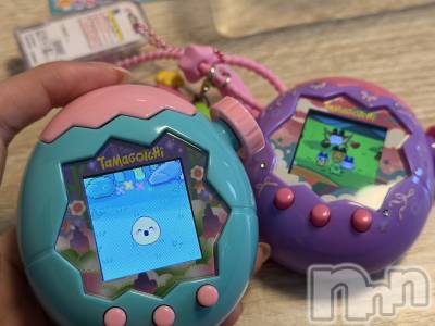 ʥå륺СʥåBar Peace(ʥåС ԡ) 1125̥֥🥚💕