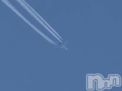 ����������ʥå��������륺�С����ʥå�Bar Peace(���ʥå��С� �ԡ���) ����4��17���̥�֥�����✈️︎︎��