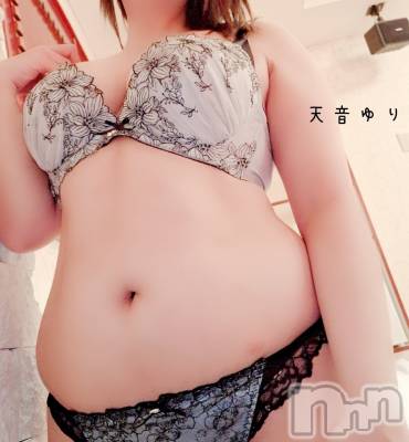 すみません今日も