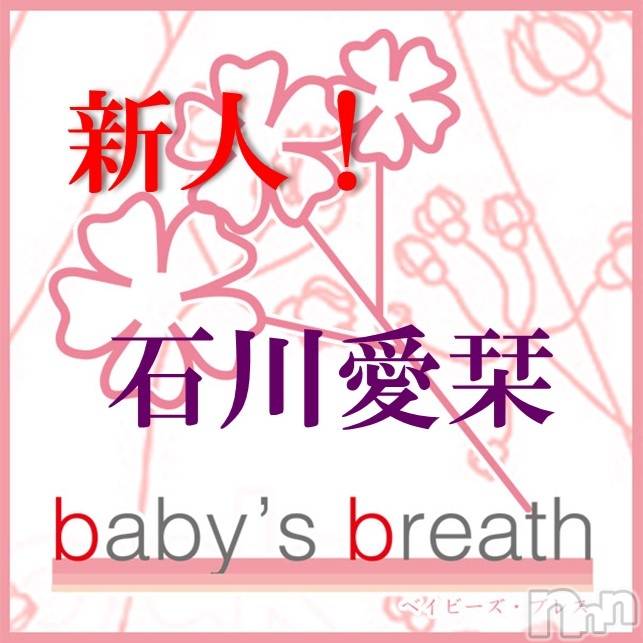 󥺥baby's breath(٥ӡ ֥쥹) 2022ǯ79̥֥֤äˤʤޤ