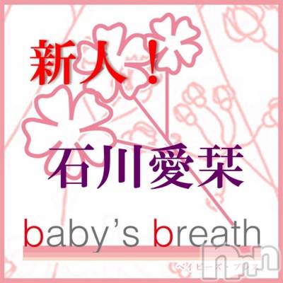 󥺥baby's breath(٥ӡ ֥쥹) ٤79̥֥֤äˤʤޤ