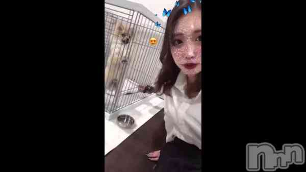 &#x1F436;&#x1F9B4;