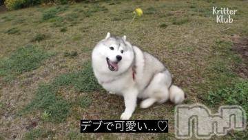 松本発ぽっちゃりちゃんこ長野　塩尻北IC店(チャンコナガノ　シオジリキタインターチェンジテン) りん(26)の9月7日写メブログ「🗓今後の出勤予定🗓」
