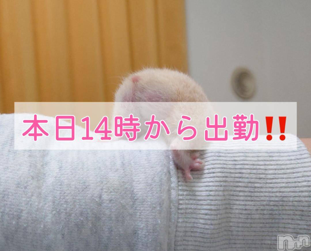 松本発ぽっちゃりちゃんこ長野　塩尻北IC店(チャンコナガノ　シオジリキタインターチェンジテン)りん(26)の2024年12月5日写メブログ「＼イベント開催中／」
