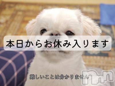 松本発ぽっちゃり ちゃんこ長野　塩尻北IC店(チャンコナガノ　シオジリキタインターチェンジテン) りん(26)の11月30日写メブログ「＼お休みになります／」