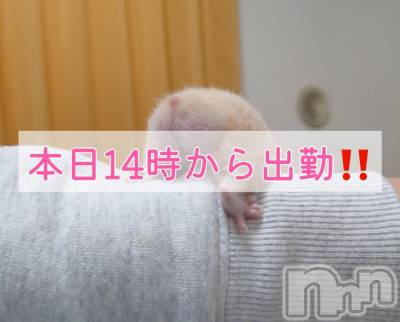松本発ぽっちゃり ちゃんこ長野　塩尻北IC店(チャンコナガノ　シオジリキタインターチェンジテン) りん(26)の12月5日写メブログ「＼イベント開催中／」
