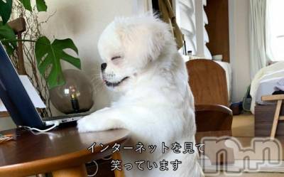 松本発ぽっちゃり ちゃんこ長野　塩尻北IC店(チャンコナガノ　シオジリキタインターチェンジテン) りん(26)の12月17日写メブログ「＼雪が綺麗と笑うのは君がいい／」