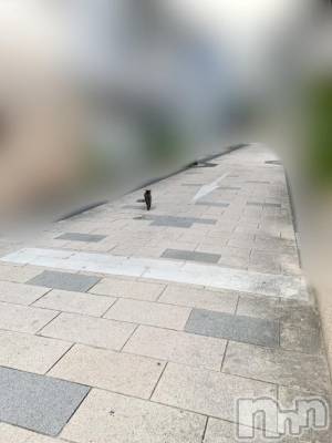 松本発ぽっちゃり ちゃんこ長野　塩尻北IC店(チャンコナガノ　シオジリキタインターチェンジテン) りん(26)の9月10日写メブログ「＼猫を追いかけて…／」
