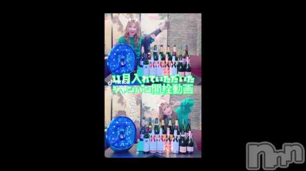 1212 2041ʬư