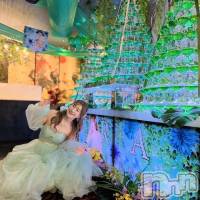 (24) Ĺ157cmܱХ顦 K-LOUNGE(饦)ҡ