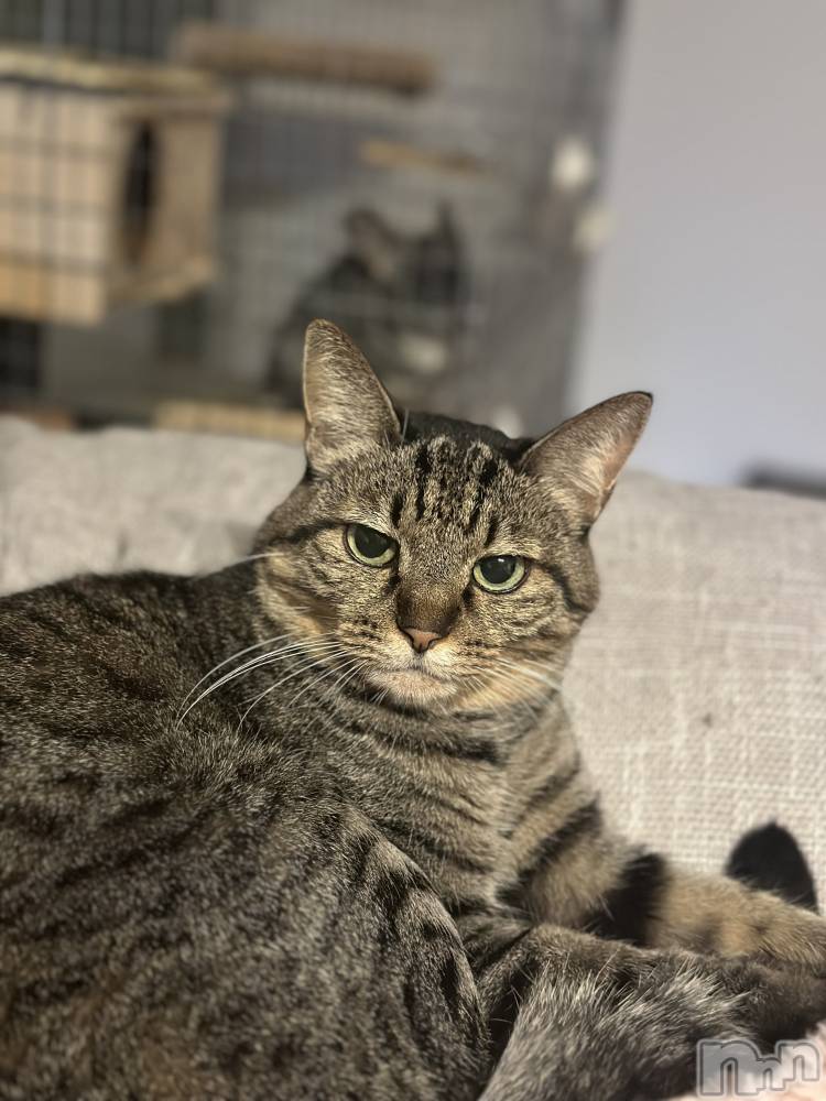 ܱХ顦K-LOUNGE(饦) ƣ 115̥֥֤ߡȡ