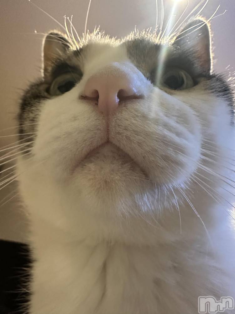 ܱХ顦K-LOUNGE(饦) ƣ 113̥֥֤ޤޤ