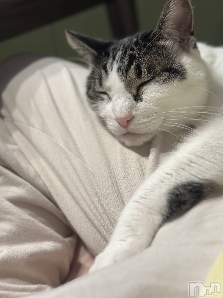 ܱХ顦K-LOUNGE(饦) ƣ 1116̥֥֤С