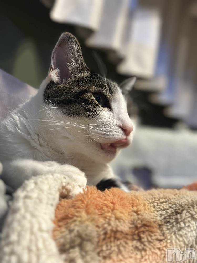 ܱХ顦K-LOUNGE(饦) ƣ 1129̥֥֤ڤ