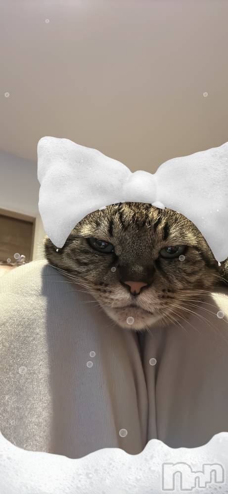 ܱХ顦K-LOUNGE(饦) ƣ 121̥֥֤हá