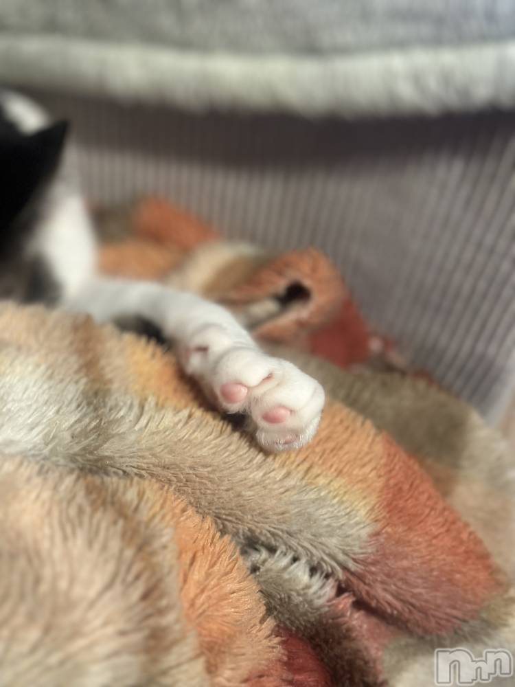 ܱХ顦K-LOUNGE(饦) ƣ 126̥֥֤ߤޤ