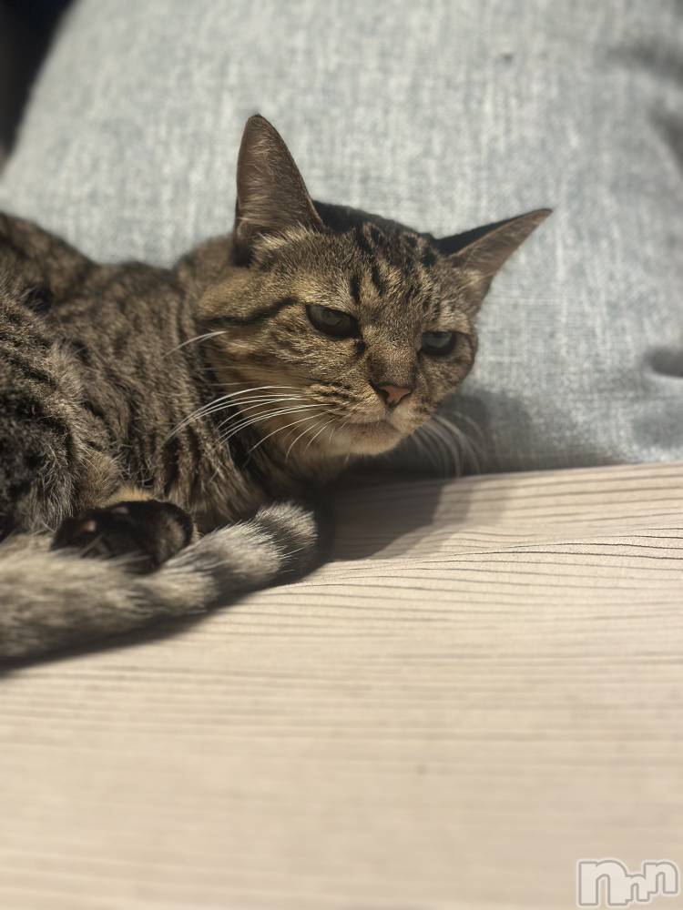 ���ܱ�������Х��顦�����K-LOUNGE(�����饦��) ƣ�� �����12��13���̥�֥����ֵ٤�ĺ���Ƥ��ޤ���