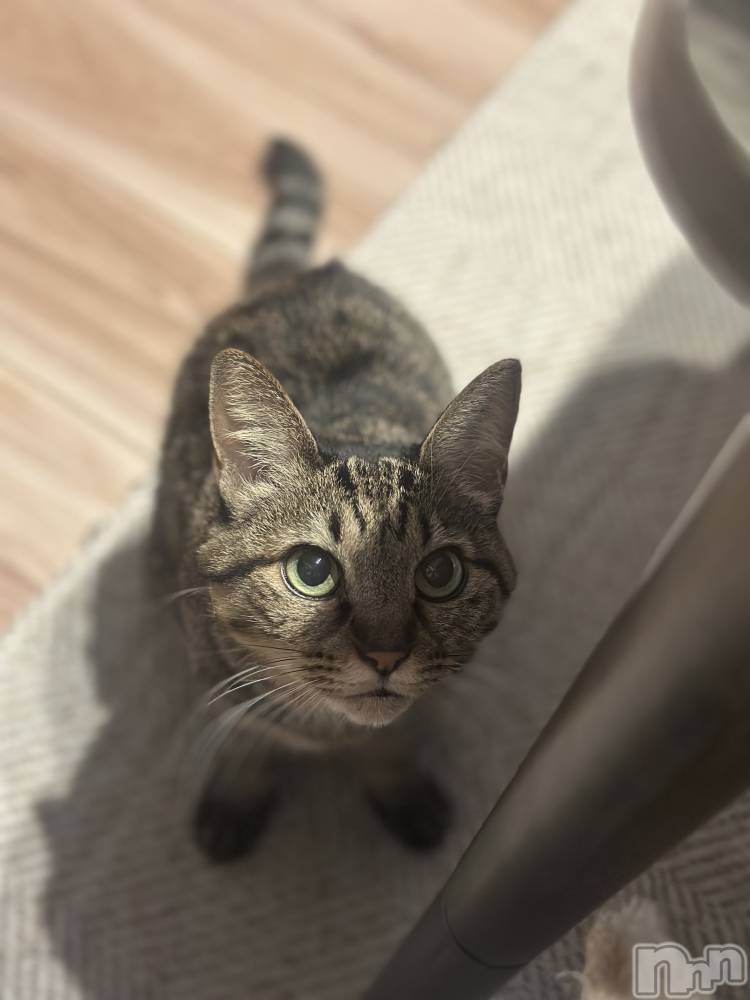 ���ܱ�������Х��顦�����K-LOUNGE(�����饦��) ƣ�� �����12��14���̥�֥����֤��áġ�