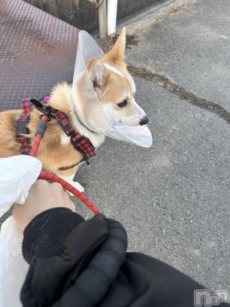 ܱХ顦K-LOUNGE(饦) ƣ 122ֵ̥֥٤ߤǤ