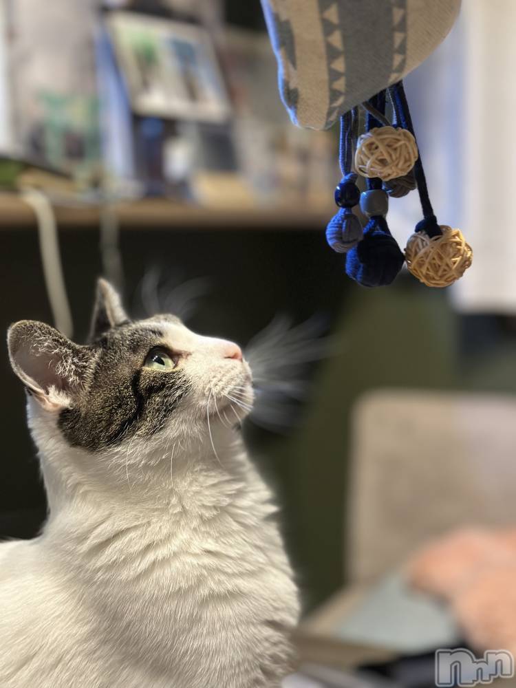 ܱХ顦K-LOUNGE(饦) ƣ 125ֵ̥֥٤ߤǤ