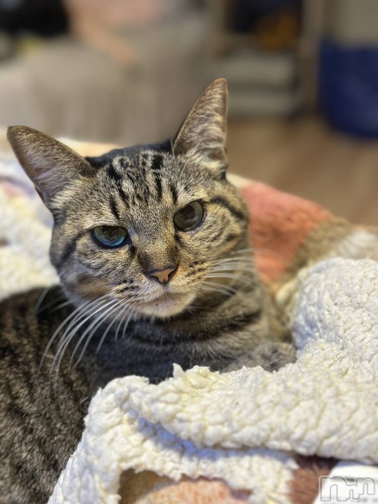 ���ܱ�������Х��顦�����K-LOUNGE(�����饦��) ƣ�� �����12��21���̥�֥���������2��