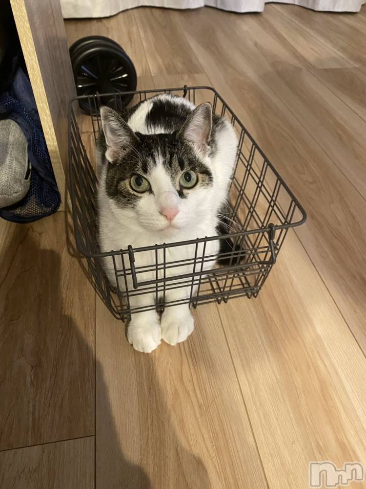 ���ܱ�������Х��顦�����K-LOUNGE(�����饦��) ƣ�� �����12��17���̥�֥����֤ʤ������ˡ�