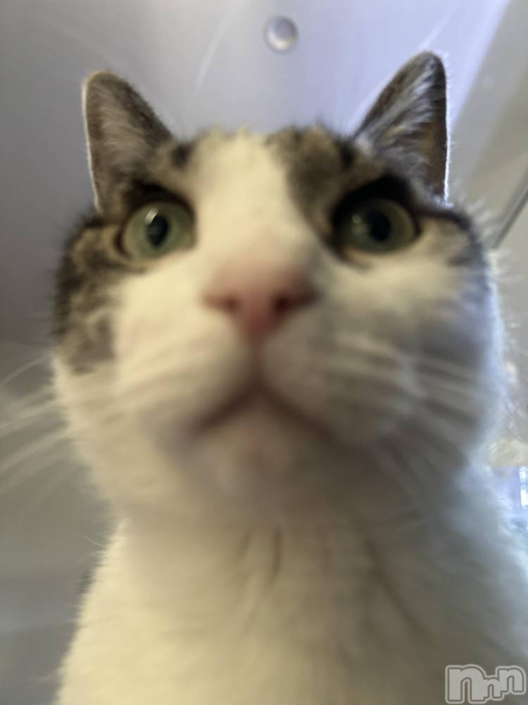 ���ܱ�������Х��顦�����K-LOUNGE(�����饦��) ƣ�� �����12��17���̥�֥����֡���