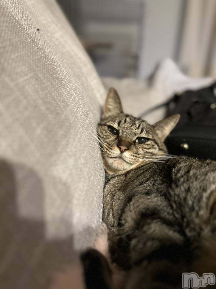 ���ܱ�������Х��顦�����K-LOUNGE(�����饦��) ƣ�� �����12��22���̥�֥�����̲��