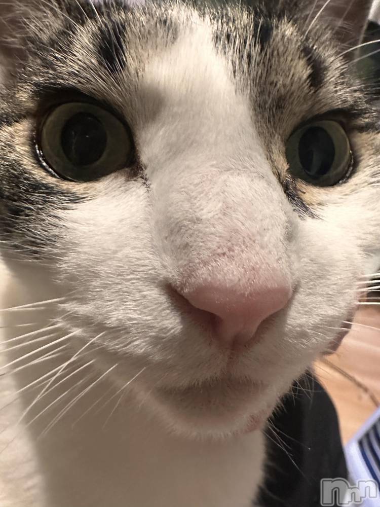 ���ܱ�������Х��顦�����K-LOUNGE(�����饦��) ƣ�� �����12��30���̥�֥����֤��餢��