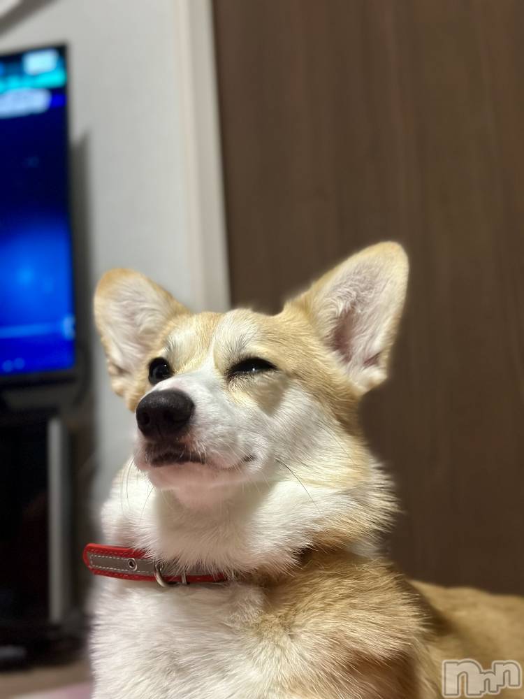 ���ܱ�������Х��顦�����K-LOUNGE(�����饦��) ƣ�� �����1��3���̥�֥����֤Ѥ��á�