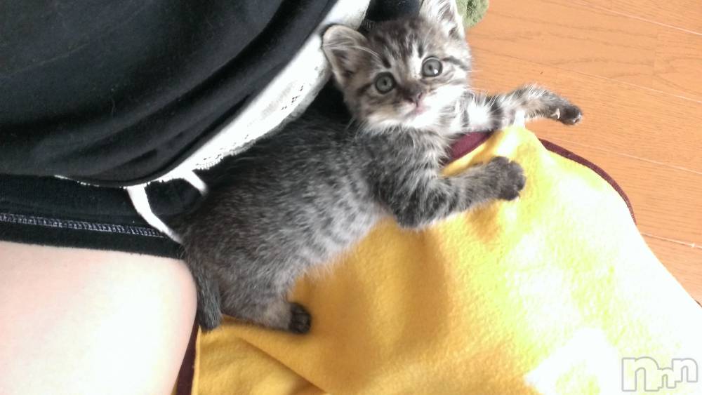 ���ܱ�������Х��顦�����K-LOUNGE(�����饦��) ƣ�� �����1��3���̥�֥�����ǭ����