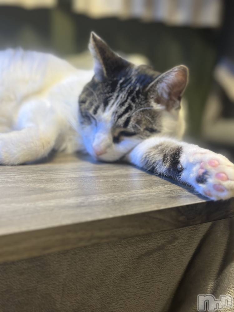 ���ܱ�������Х��顦�����K-LOUNGE(�����饦��) ƣ�� �����1��11���̥�֥�����Ź�����Ǥ�����