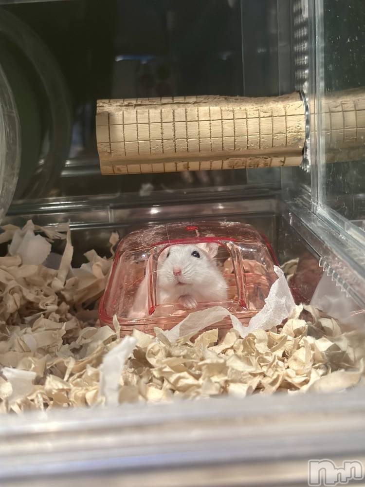 ���ܱ�������Х��顦�����K-LOUNGE(�����饦��) ƣ�� �����1��6���̥�֥����֤��⡼������