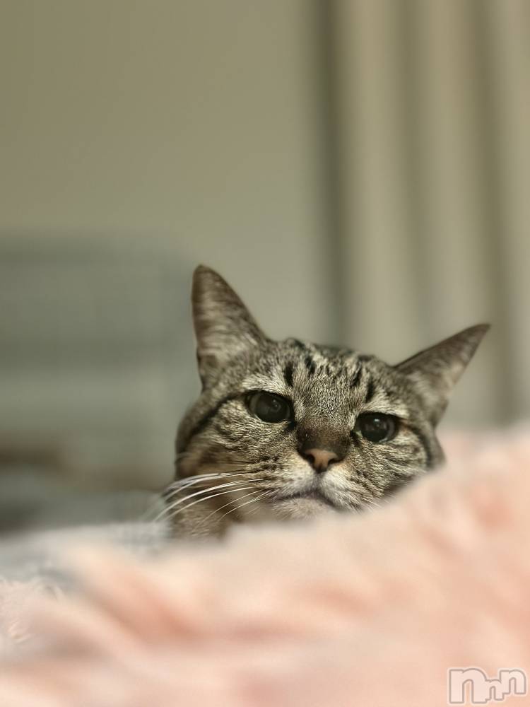 ���ܱ�������Х��顦�����K-LOUNGE(�����饦��) ƣ�� �����1��10���̥�֥����֡���