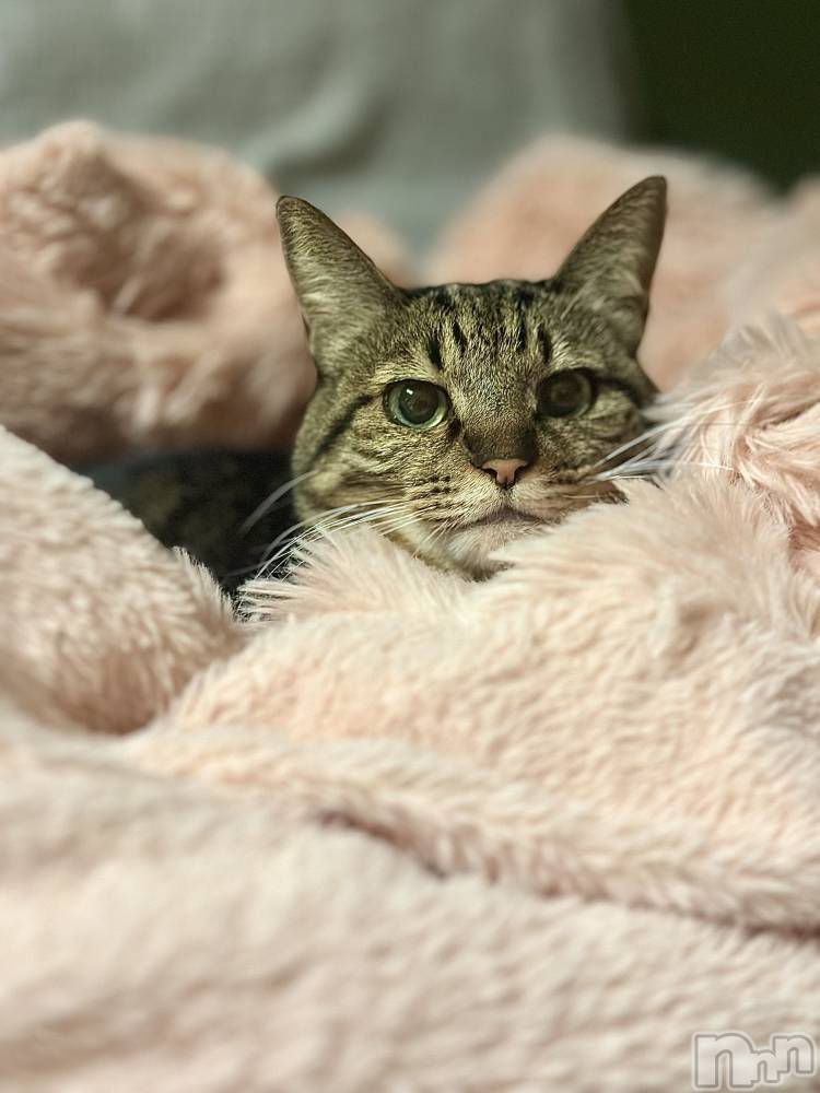 ���ܱ�������Х��顦�����K-LOUNGE(�����饦��) ƣ�� �����1��17���̥�֥����֤������