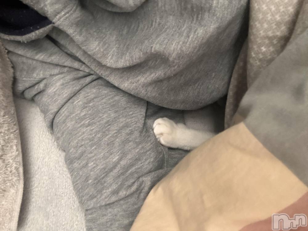 ���ܱ�������Х��顦�����K-LOUNGE(�����饦��) ƣ�� �����1��18���̥�֥����֤�����