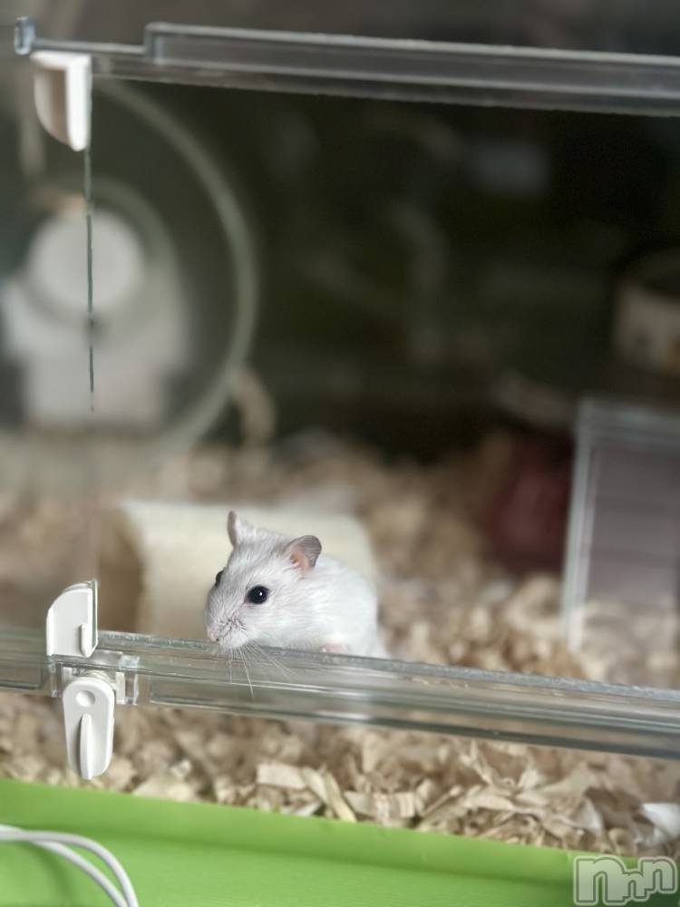 ���ܱ�������Х��顦�����K-LOUNGE(�����饦��) ƣ�� �����1��26���̥�֥����ֺ����Τ������