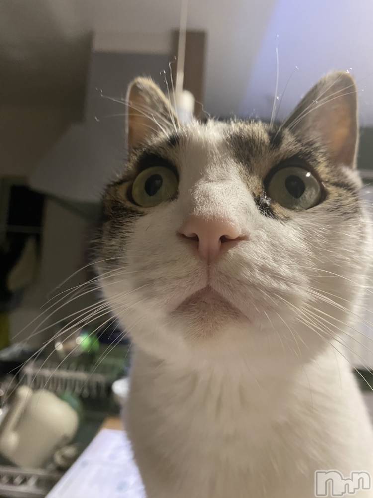 ���ܱ�������Х��顦�����K-LOUNGE(�����饦��) ƣ�� �����1��23���̥�֥����֡���